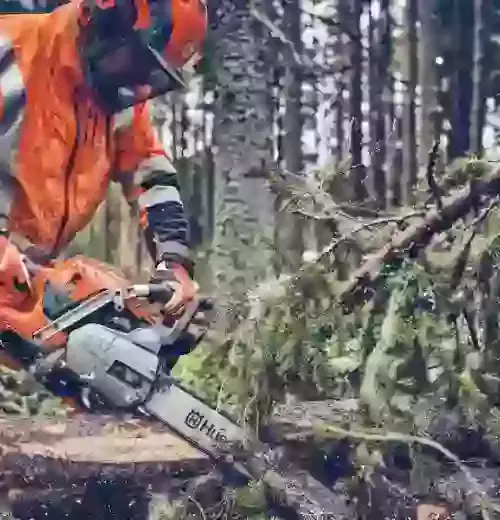 Husqvarna 562 XP® Mark II Professional chainsaw